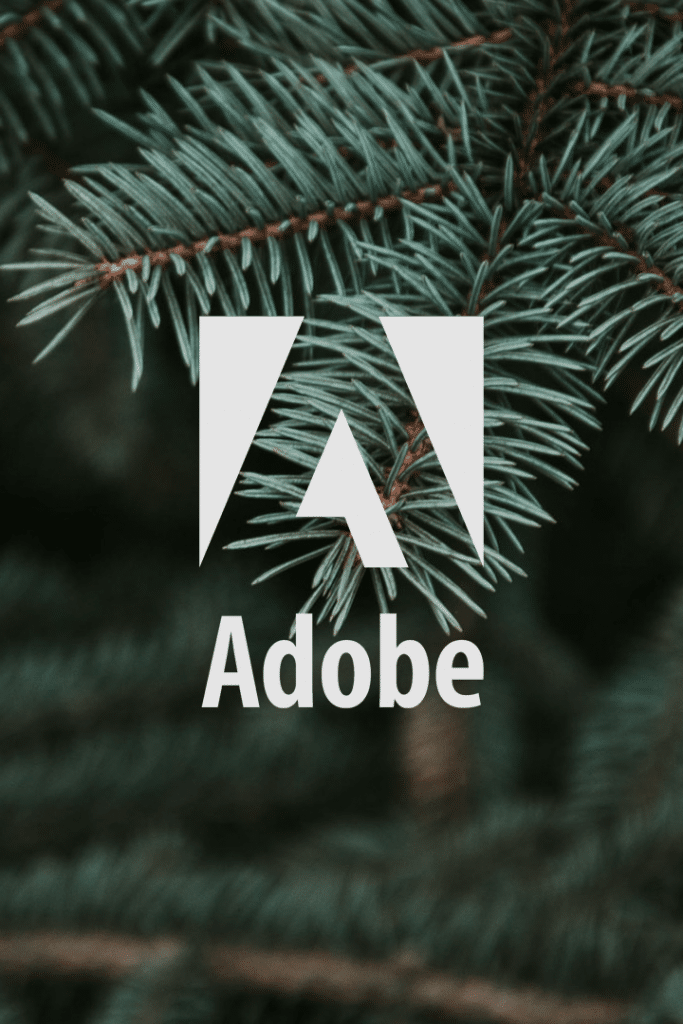 Prestigeträchtiger Status eines spezialisierten Adobe Campaign-Partners in EMEA