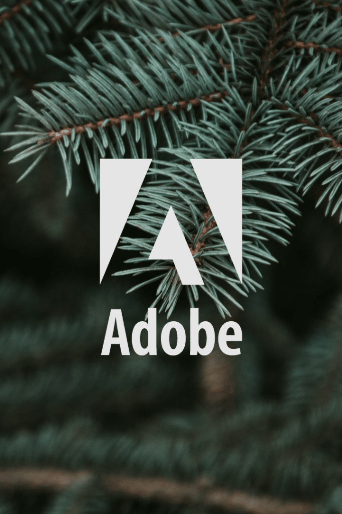 Prestigious Adobe Campaign Specialised Partner Status in EMEA