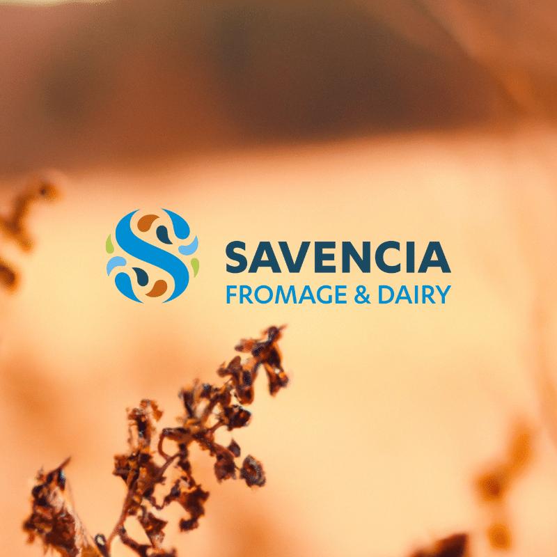 Savencia - Datengesteuertes Marketing weist den Weg zur Kundentreue