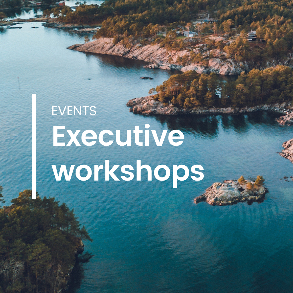 Executive workshops 2026